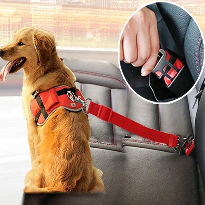 Adjustable Pet Seat Belt for Dogs & Cats - Car Safety Harness Lead